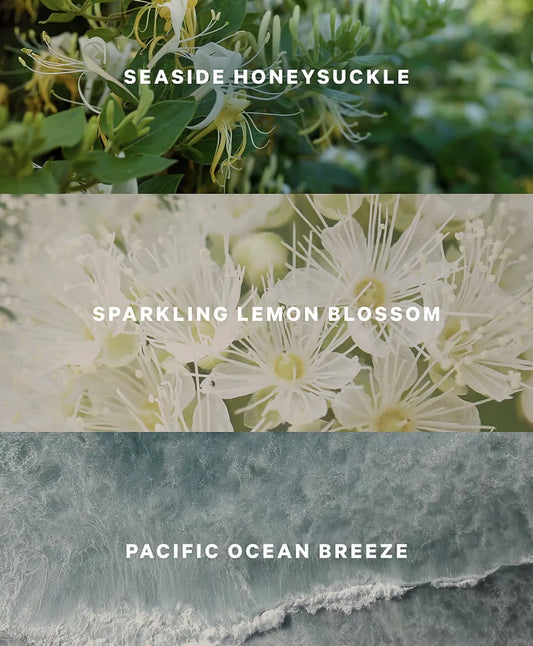 Victoria's Secret Body Mist Coastal Blooms 250 ml.