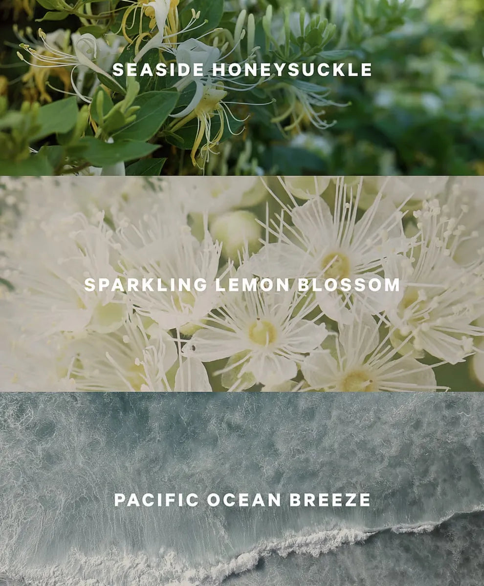 Victoria's Secret Body Mist Coastal Blooms 250 ml.