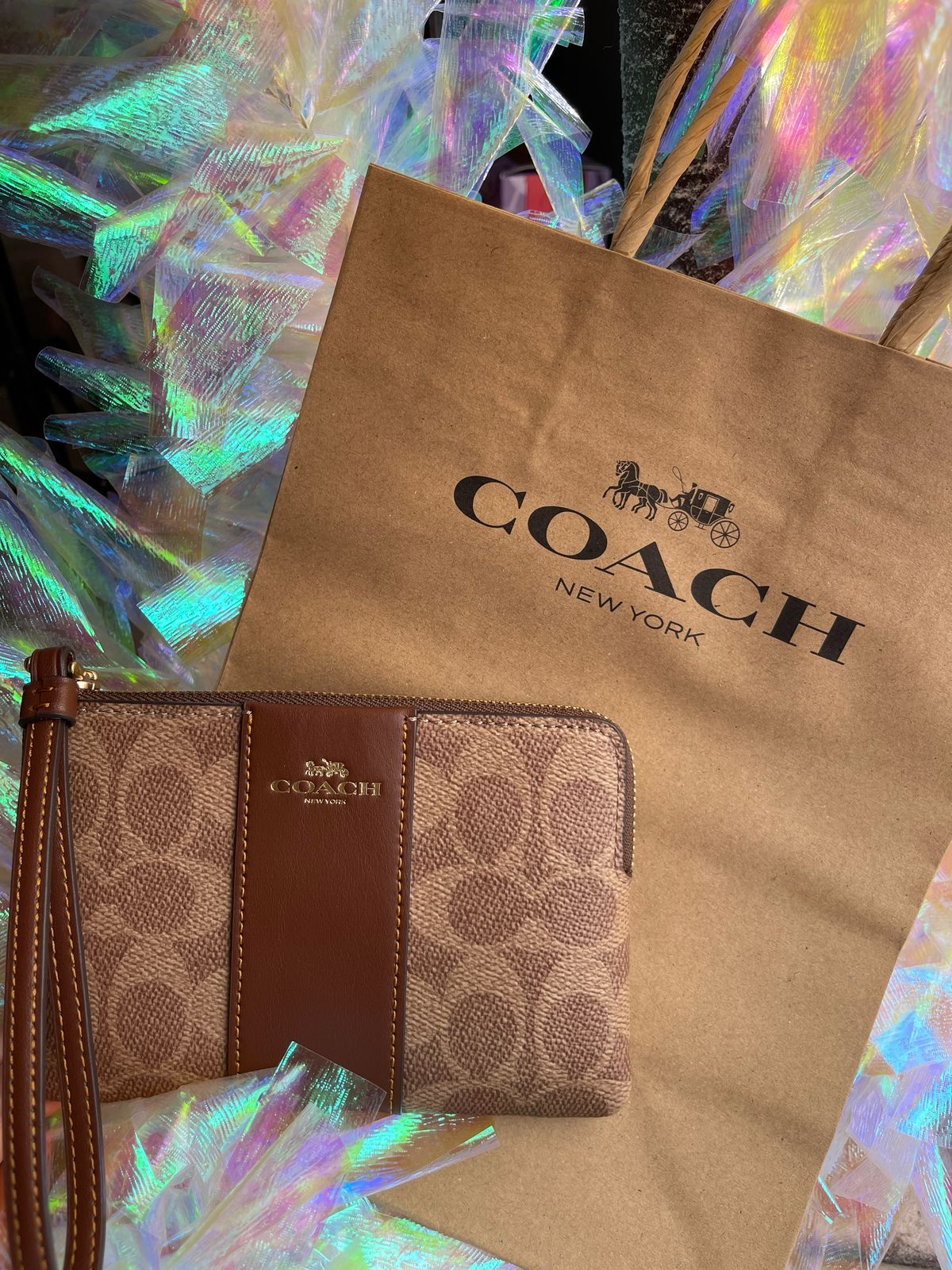 MUÑEQUERA COACH CORNER ZIP WRISTLET COLOR CAFE
