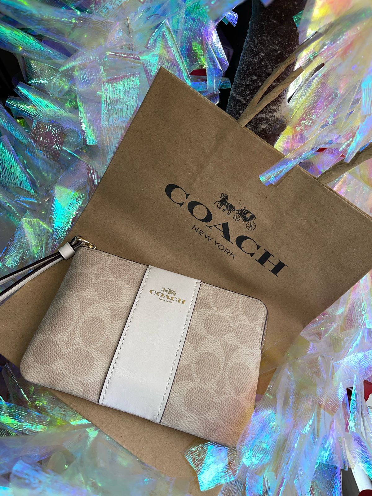 MUÑEQUERA COACH CORNER ZIP WRISTLET COLOR CLARO