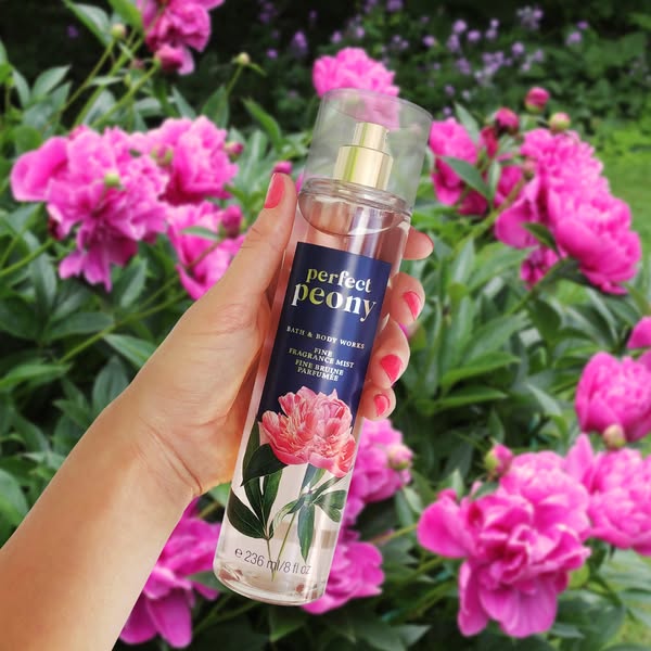 BATH AND BODY WORKS fine fragrance mist 236ml Aroma: perfect peony - Pink Beauty