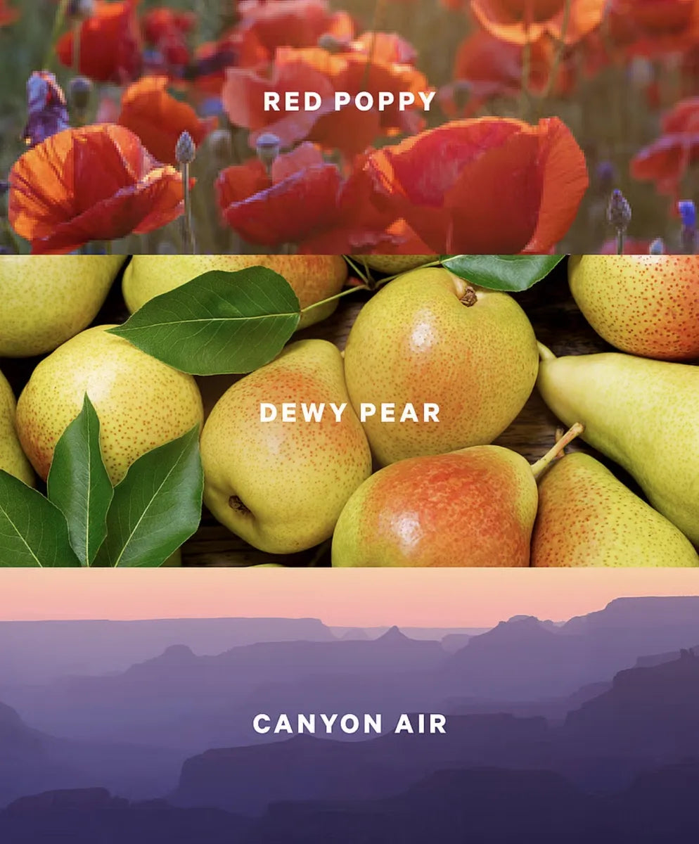 Victoria's Secret Body Mist Canyon Blooms 250 ml.