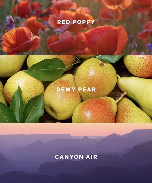 Victoria's Secret Body Mist Canyon Blooms 250 ml.