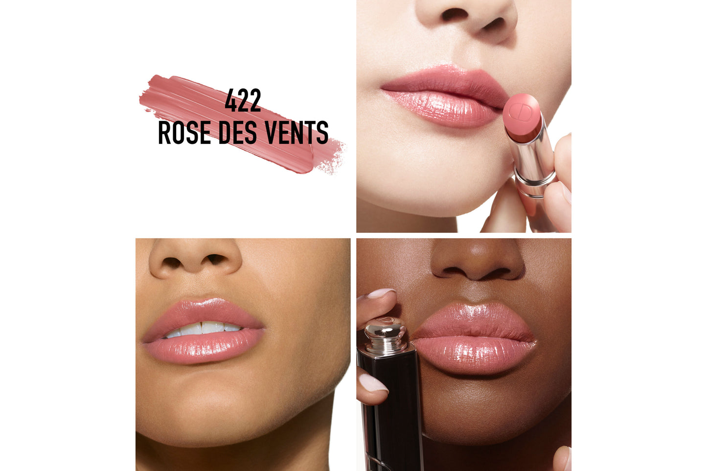 Dior Addict Hydrating Shine Lipstick - 422 Rose Des Vents