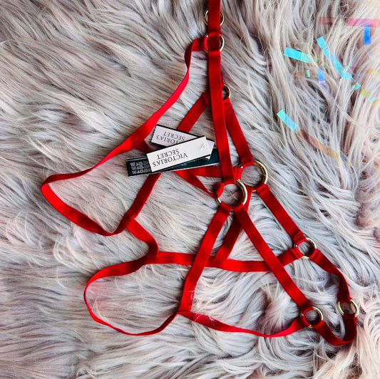 Victorias Secret Panty #7